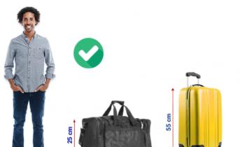 Правила провоза багажа в авиакомпании Ryanair